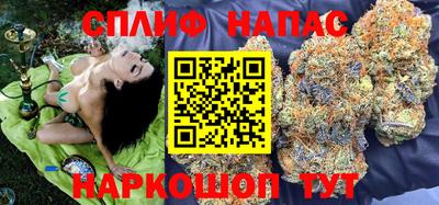 МДПВ Обь