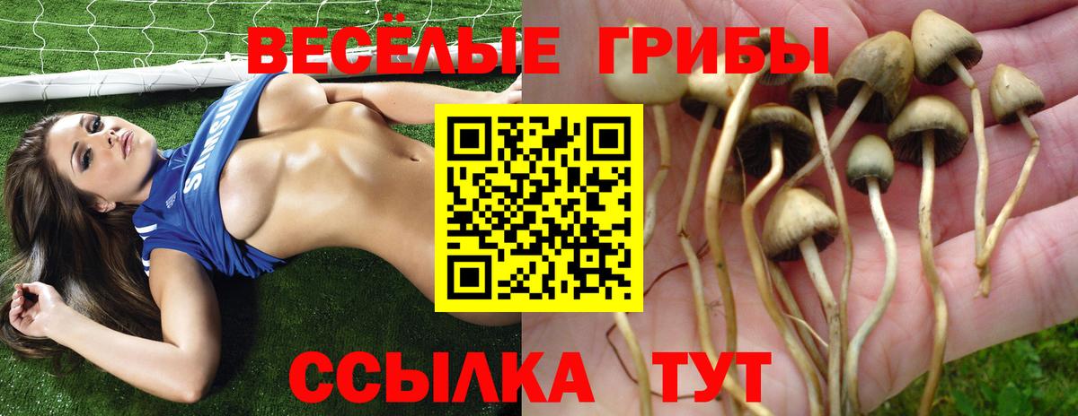Галлюциногенные грибы прущие грибы  Вход с VPN  Псилоцибиновые грибы ЛСД  Ростов Великий 