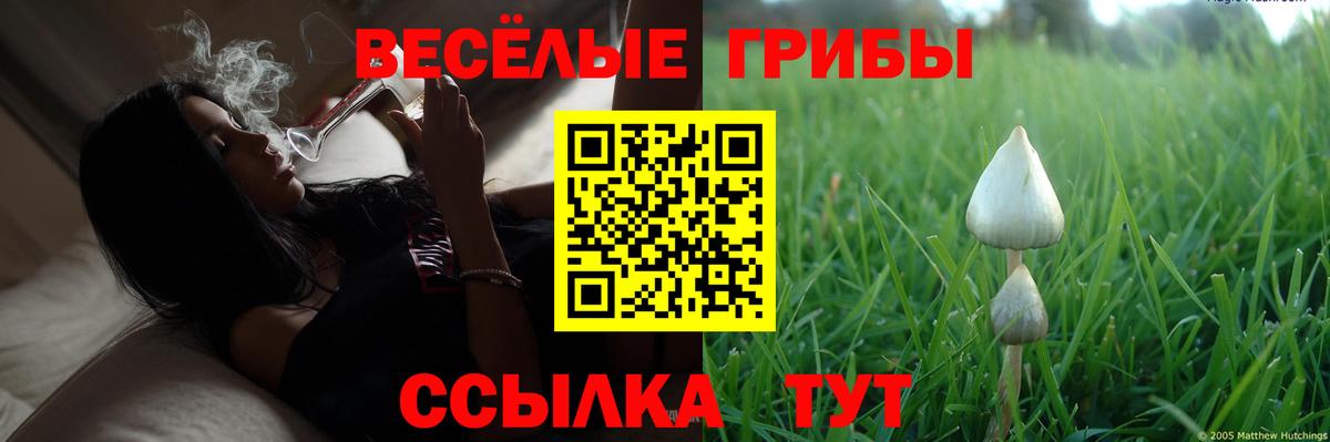 Галлюциногенные грибы мицелий Ростов Великий